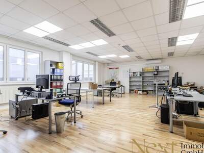 Gewerbeobjekt mieten in 4050 Traun (Bild 4)