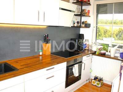Terrassenwohnung kaufen in 4501 Neuhofen (Bild 4)