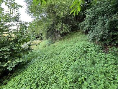 Grundstück kaufen in 8820 Neumarkt (Bild 3)