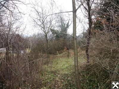 Grundstück kaufen in 7051 Großhöflein (Bild 3)