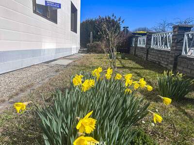 Haus kaufen in 4655 Vorchdorf (Bild 5)