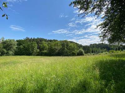 Grundstück kaufen in 4312 Ried