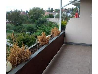 Apartment provisionsfrei mieten in 2020 Hollabrunn