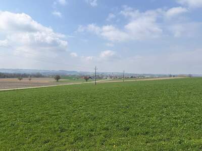 Grundstück kaufen in 4751 Dorf