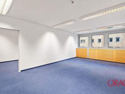 Gewerbeobjekt mieten in 1040 Wien (Bild 3)