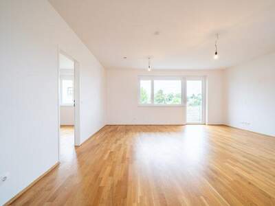 Terrassenwohnung kaufen in 3250 Wieselburg (Bild 2)