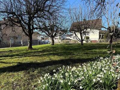 Grundstück kaufen in 6845 Hohenems