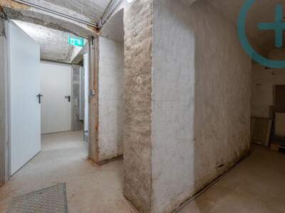 Gewerbeobjekt mieten in 1230 Wien (Bild 5)