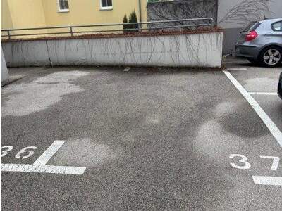 Halle / Lager / Produktion mieten in 2540 Bad Vöslau (Bild 4)