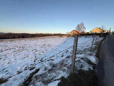 Grundstück kaufen in 4223 Weidegut (Bild 5)