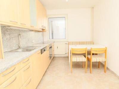 Terrassenwohnung mieten in 1080 Wien (Bild 5)