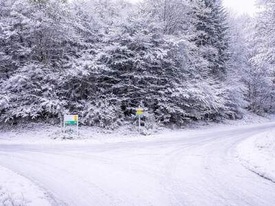 Grundstück kaufen in 4582 Spital