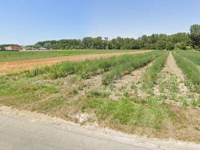 Grundstück kaufen in 3423 Wördern