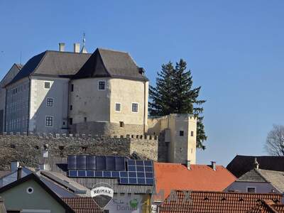 Einfamilienhaus kaufen in 3613 Albrechtsberg (Bild 2)
