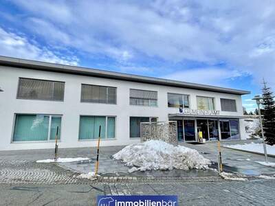 Gewerbeobjekt kaufen in 4085 Waldkirchen (Bild 1)