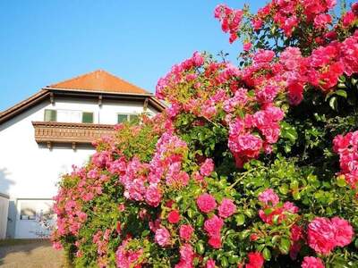 Haus provisionsfrei kaufen in 8271 Bad Waltersdorf