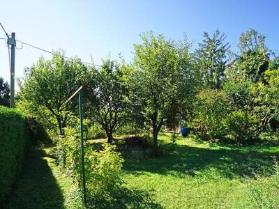 Grundstück kaufen in 1130 Wien (Bild 5)