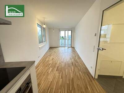 Terrassenwohnung mieten in 1230 Wien (Bild 2)