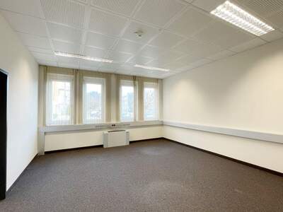 Gewerbeobjekt mieten in 8042 Graz (Bild 4)