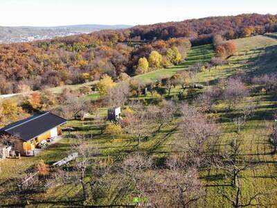 Gewerbeobjekt kaufen in 3512 Unterbergern