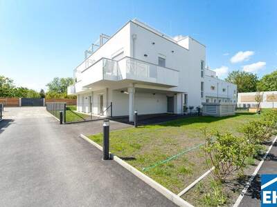 Terrassenwohnung kaufen in 2344 Maria Enzersdorf (Bild 3)