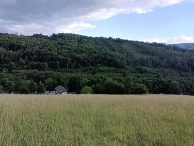 Grundstück kaufen in 3051 Neulengbach (Bild 4)