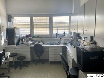 Gewerbeobjekt mieten in 1210 Wien (Bild 3)