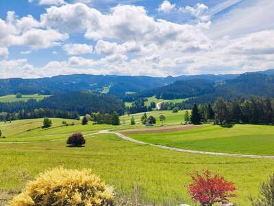 Haus kaufen in 3633 Schönbach