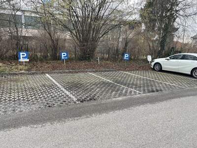 Immobilie kaufen in 4600 Wels (Bild 4)