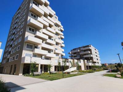 Apartment provisionsfrei mieten in 1220 Wien