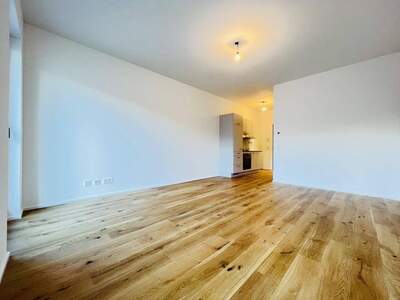 Wohnung mieten in 3100 St. Pölten