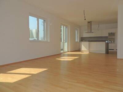 Terrassenwohnung mieten in 1220 Wien (Bild 1)