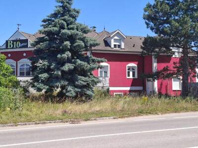 Anlageobjekt kaufen in 2462 Wilfleinsdorf