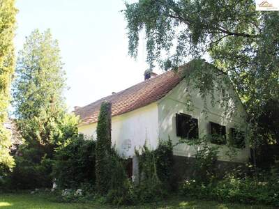 Haus kaufen in 7432 Aschau