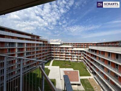 Terrassenwohnung kaufen in 8055 Graz (Bild 5)