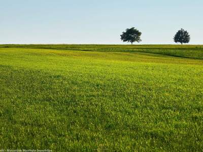 Grundstück kaufen in 2230 Gänserndorf