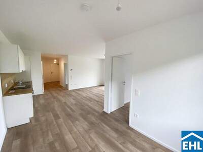 Terrassenwohnung mieten in 3451 Michelhausen (Bild 3)