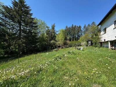 Grundstück kaufen in 4111 Walding (Bild 2)