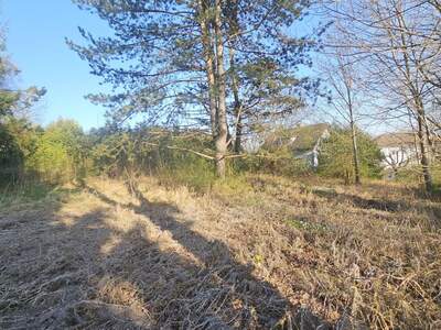 Grundstück kaufen in 8062 Kumberg (Bild 4)