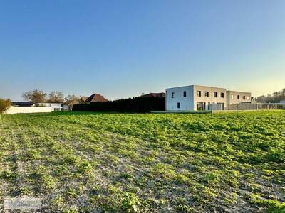 Grundstück kaufen in 2486 Pottendorf