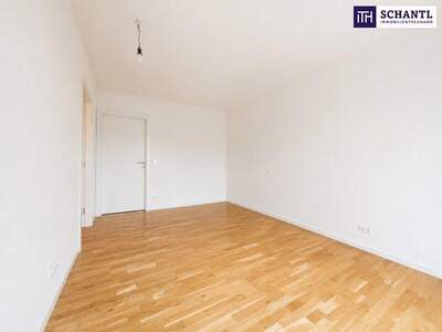 Terrassenwohnung mieten in 1230 Wien (Bild 5)