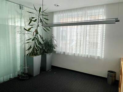 Gewerbeobjekt mieten in 4175 Neußerling (Bild 3)