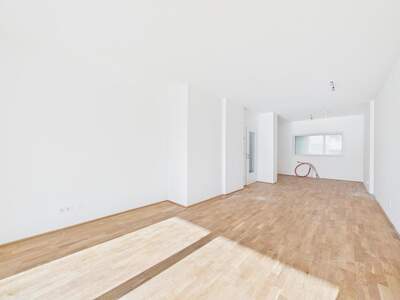 Terrassenwohnung kaufen in 4040 Linz (Bild 3)