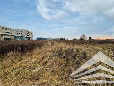 Gewerbegrundstück kaufen in 4061 Pasching