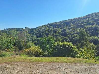 Grundstück kaufen in 8462 Gamlitz