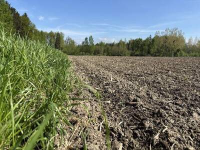 Grundstück kaufen in 4343 Mitterkirchen