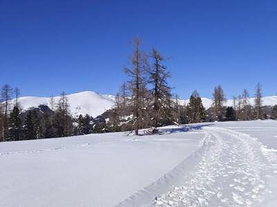Wohnung kaufen in 9571 Sirnitz (Bild 1)