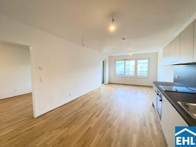 Terrassenwohnung mieten in 1210 Wien (Bild 1)