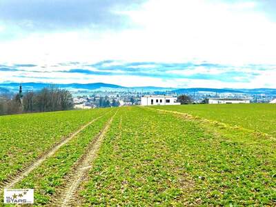 Grundstück kaufen in 4910 Ried