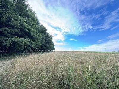 Gewerbeobjekt kaufen in 3041 Großgraben